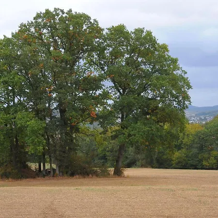 Detached With Terrace, Surrounded By Nature *