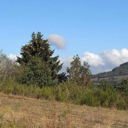 In Gerolstein Near Forest Trails