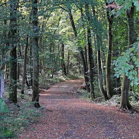 In Gerolstein Near Forest Trails Chalet