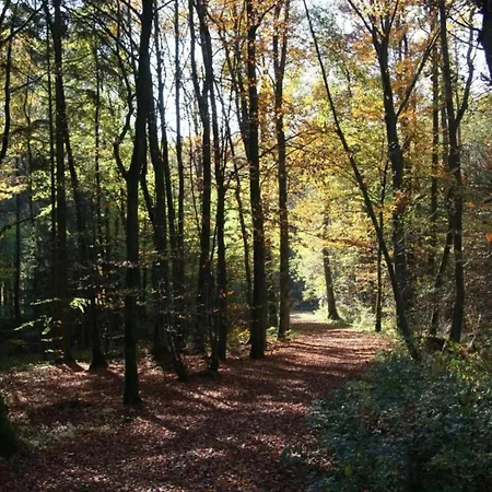 Chalet In Gerolstein Near Forest Trails