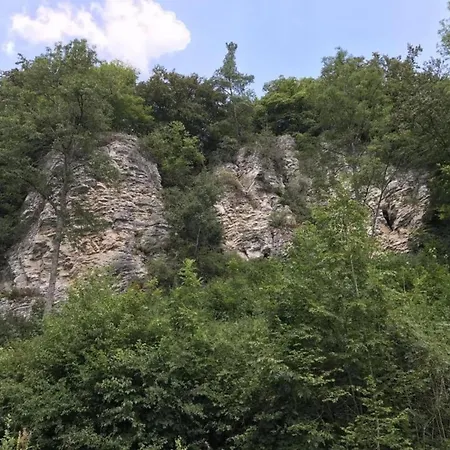 In Gerolstein Near Forest Trails *