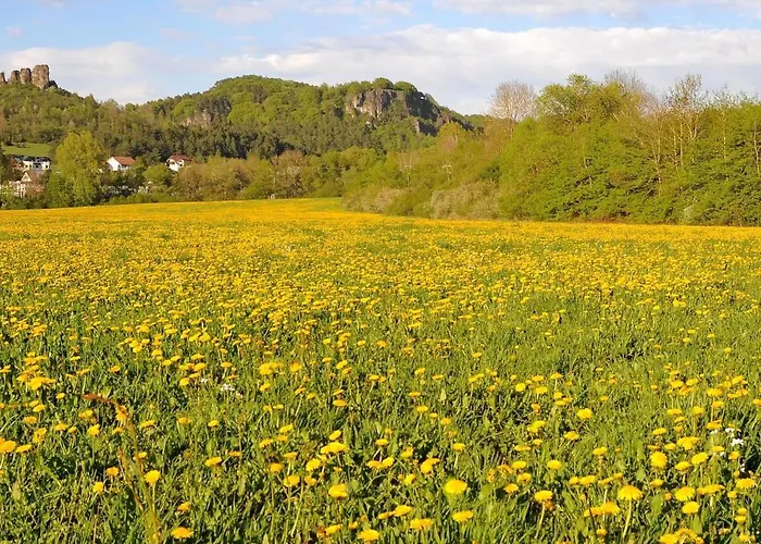 Domek alpejski In Gerolstein Near Forest Trails