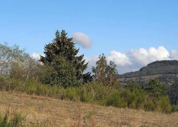 In Gerolstein Near Forest Trails