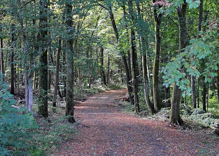In Gerolstein Near Forest Trails Domek alpejski