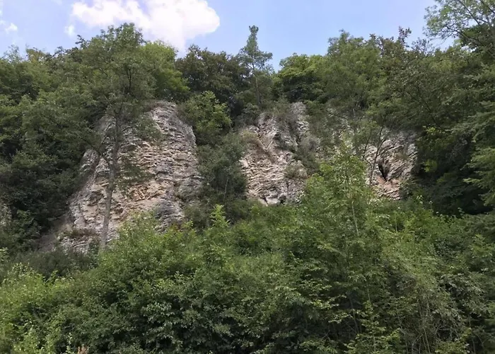 In Gerolstein Near Forest Trails *