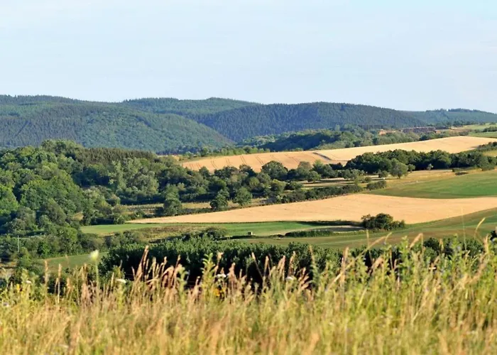 In Gerolstein Near Forest Trails