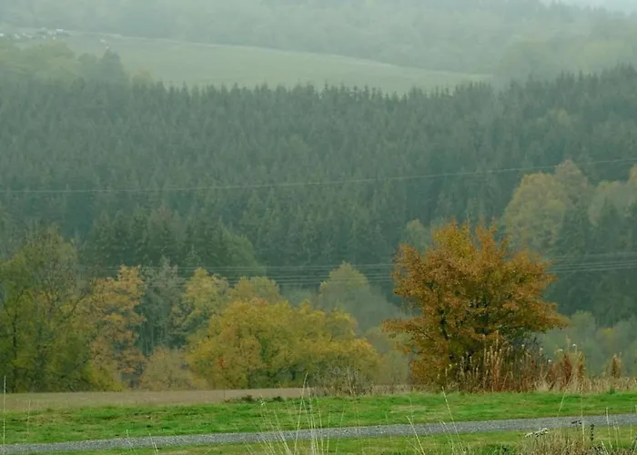 Domek alpejski In Gerolstein Near Forest Trails